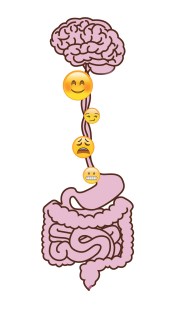 Akesi-Gut-Brain-Emotion