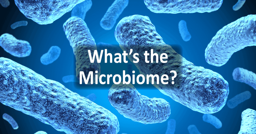 Whats-the-Microbiome-1